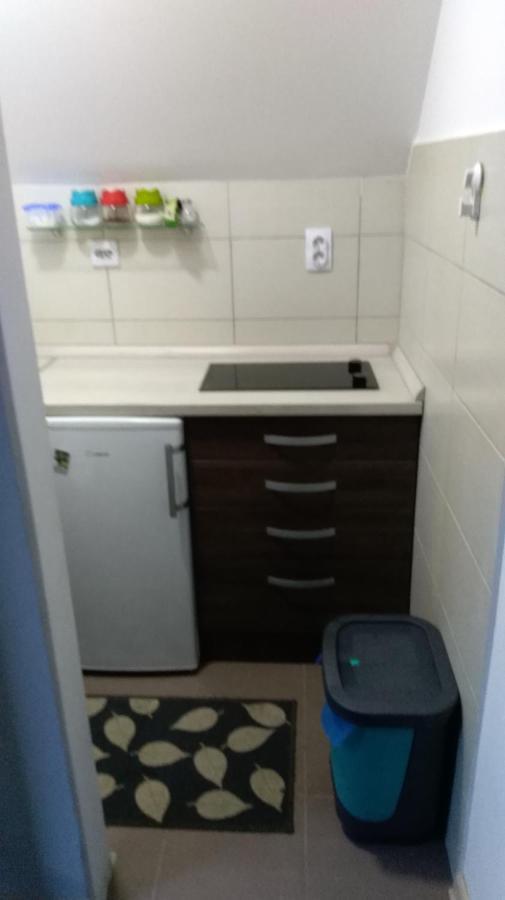 Apartman Vukasin Копаоник Экстерьер фото